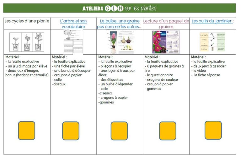 Pas à pas plantation – Ecole des Juliettes