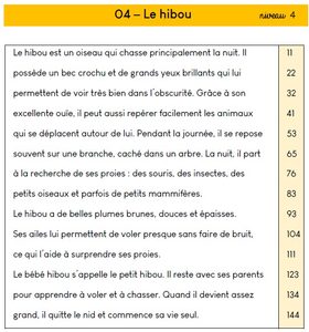 Lire la suite à propos de l’article Fluence dans ma classe de CE1
